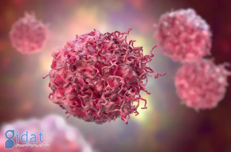 آیا می توان با از بین بردن برخی میکروب های بدن انسان از پیشرفت سرطان جلوگیری کرد؟