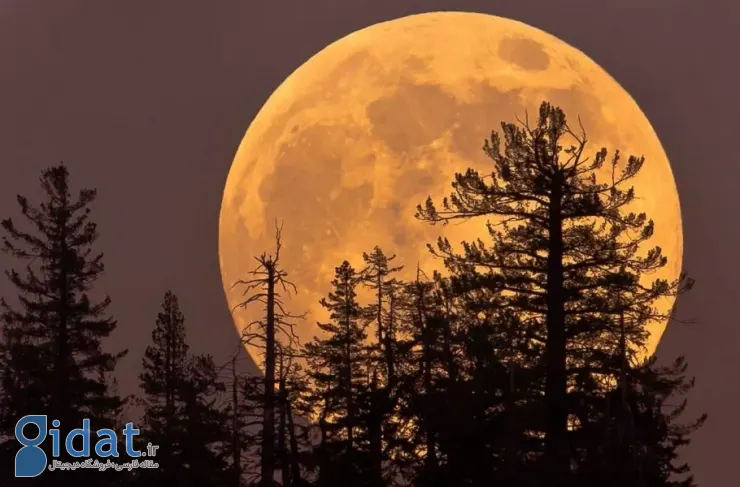 رویارویی نزدیک ماه و زمین؛ رصد جذاب ابرماه در ۴ نوامبر را از دست ندهید
