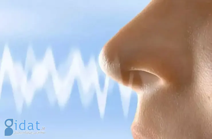 تحقیقات جدید: الگوی تنفس شما می‌تواند هویت، خلق و خو و وضعیت سلامتی شما را آشکار کند