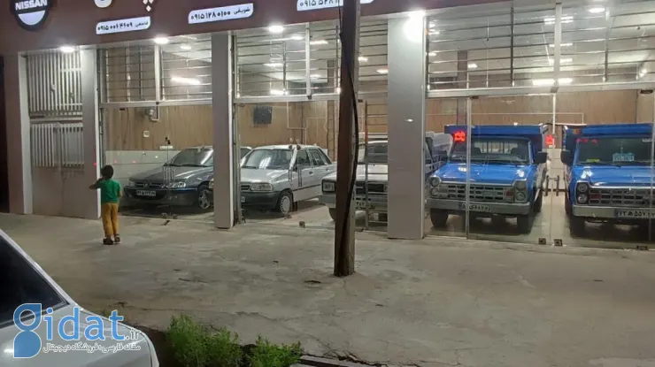 انواع وانت