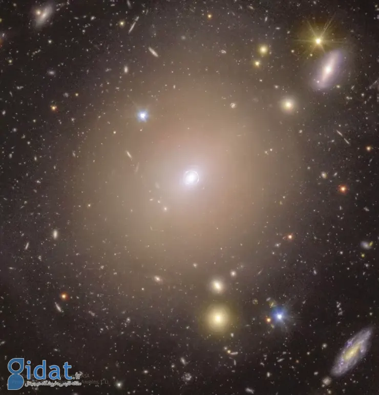 تصویر روز ناسا:  حلقه اینشتین به دور کهکشان NGC 6505