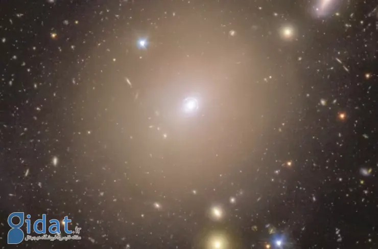 تصویر روز ناسا: حلقه انیشتین در اطراف کهکشان NGC 6505