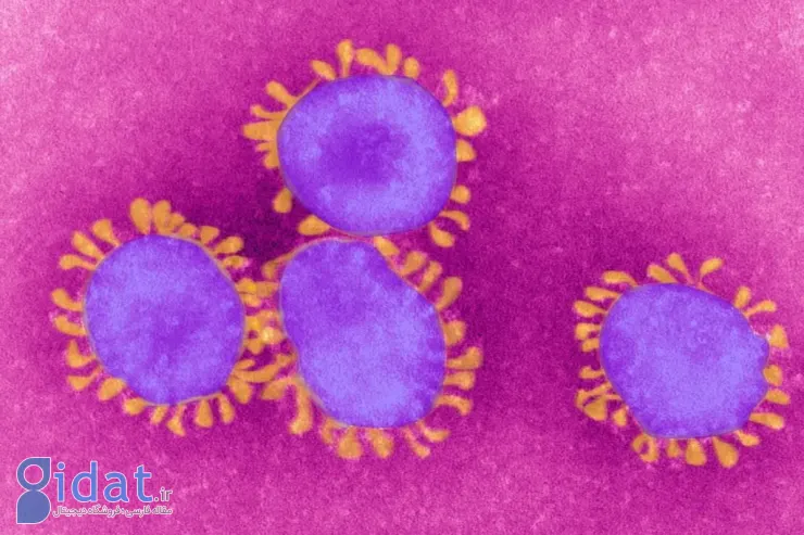 کرونا و اوتیسم