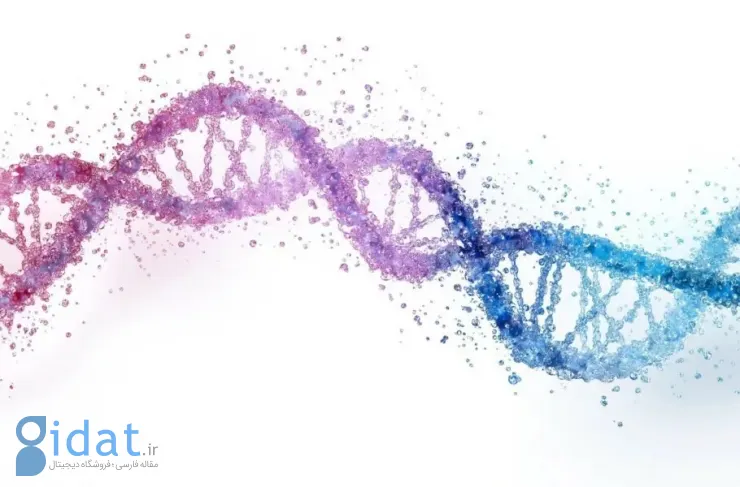دانشمندان هشدار می دهند: اطلاعات DNA شما می تواند هک شود و علیه شما استفاده شود