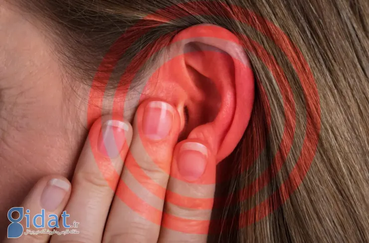 محققان به نتایج امیدوارکننده‌ای برای پیشگیری از افت شنوایی دست یافتند