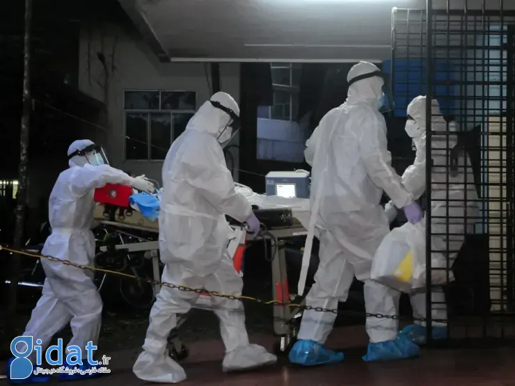 ویروس نیپا در هند