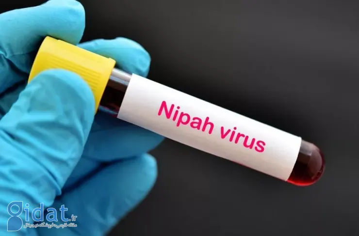 درباره ویروس خطرناک نیپا و شیوع آن در هند چه می‌دانیم؟