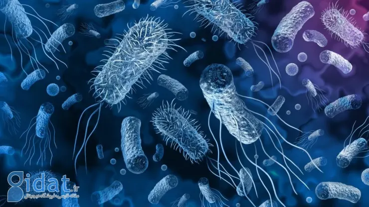 توسعه مولکول‌هایی از آنتی‌بیوتیک‌ها که می‌توانند بر باکتری‌های مقاوم به دارو غلبه کنند