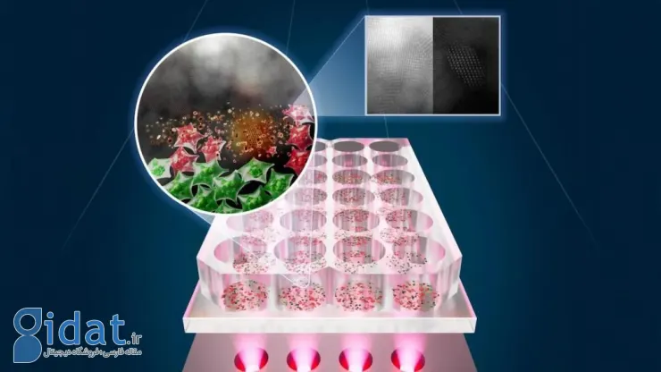 درمان سرطان با نور LED