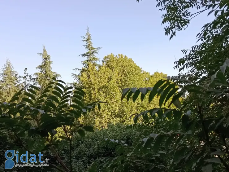 بررسی شیائومی ردمی نوت ۱۴ نسخه 4G:  آزادی انتخاب یا محدودیت اقتصادی؟