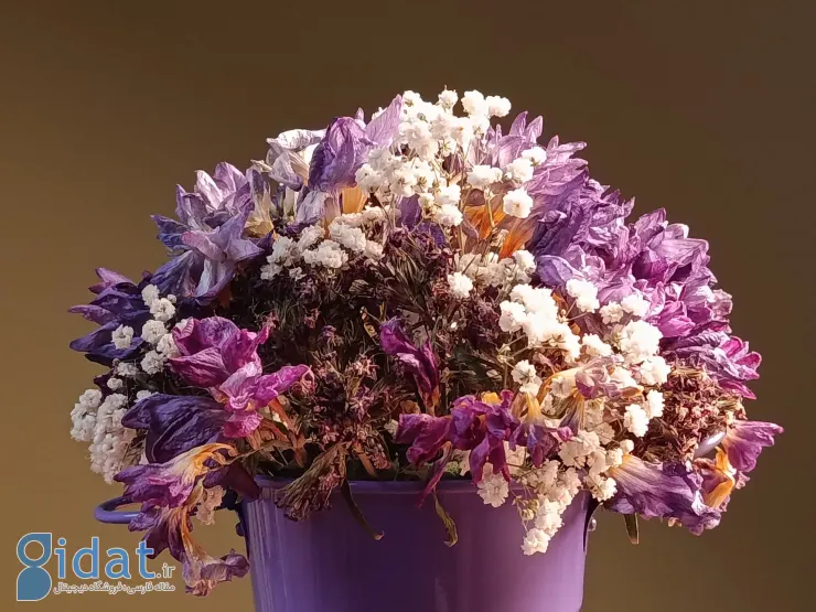 بررسی شیائومی ردمی نوت ۱۴ نسخه 4G:  آزادی انتخاب یا محدودیت اقتصادی؟