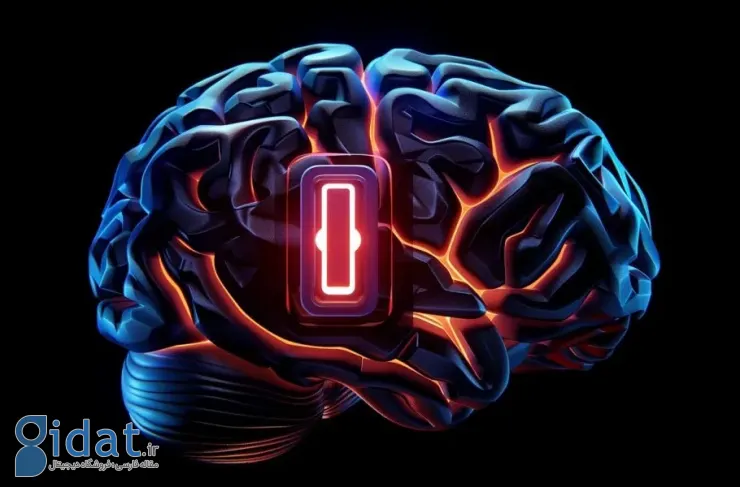 تحقیقات جدید: سلول‌های ایمنی مغز در کاهش یا افزایش اضطراب نقش دارند