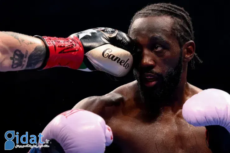 فینالیست‌های مسابقه عکاسی ورزشی ۲۰۲۶