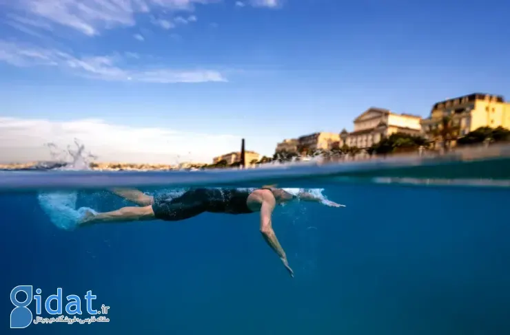 فینالیست‌های مسابقه عکاسی ورزشی ۲۰۲۶