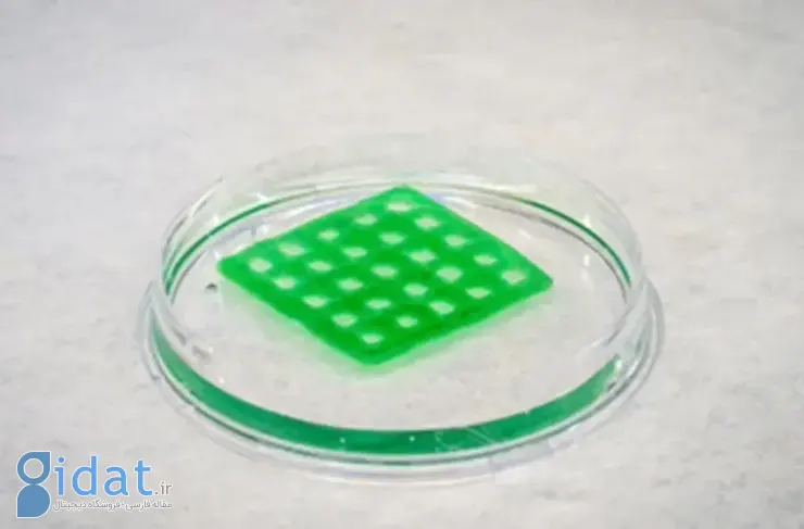 مواد بیولوژیکی تولید شده توسط پرینتر سه‌بعدی می‌تواند آب را تصفیه کند