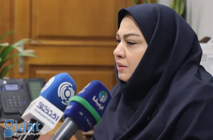 معاون فناوری‌های نوین بانک مرکزی: صدور چک دیجیتال برای همه بانک‌ها امکان‌پذیر شد