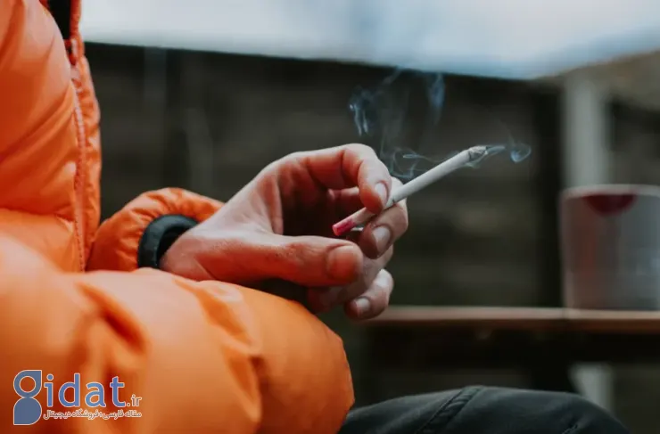 دانشمندان چینی: دود دست سوم سیگار در منافذ مبلمان و فرش‌ها باقی می‌ماند