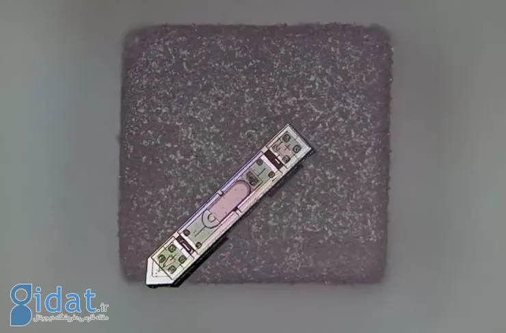 نوآوری محققان آمریکایی: توسعه یک ایمپلنت کوچکتر از یک دانه نمک برای ردیابی بی‌سیم فعالیت مغز