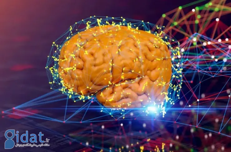 زیرنویس‌های مغز: دانشمندان راهی برای تبدیل افکار به متن با اسکن‌های MRI پیدا کرده‌اند