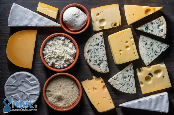 تحقیقات جدید: مصرف پنیر و خامه پرچرب ممکن است خطر ابتلا به زوال عقل را کاهش دهد