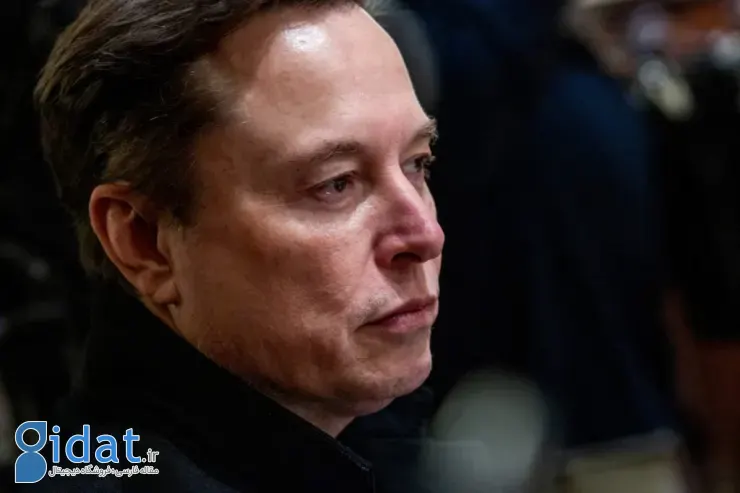 ایلان ماسک و پول