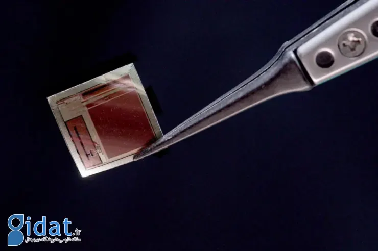 یک ایمپلنت مغزی به اندازه یک تمبر که افکار بیماران را با هوش مصنوعی رمزگشایی می‌کند