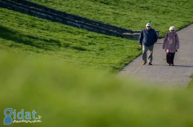 مطالعه جدید: پیاده‌روی ۳۰۰۰ قدم در روز می‌تواند پیشرفت بیماری آلزایمر را کند کند