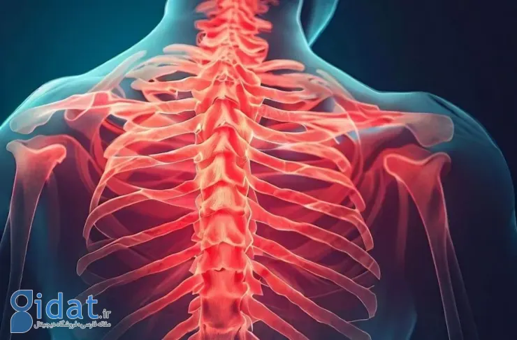 اولین درمان ضایعه نخاعی در جهان برای شروع آزمایشات انسانی تایید شده است