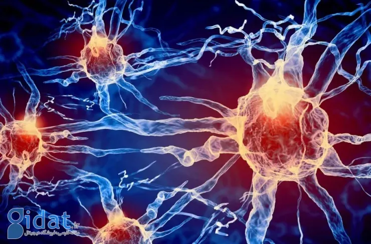 دستاورد دانشمند ایرانی: شناسایی دو نوع جدید بیماری ام اس با کمک هوش مصنوعی