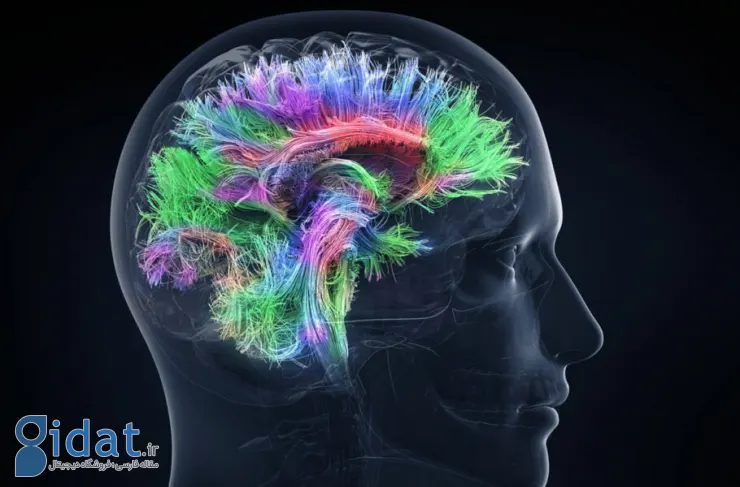 محققان با استفاده از هوش مصنوعی سیگنال های مغزی مرتبط با بهبود افسردگی را شناسایی کرده اند