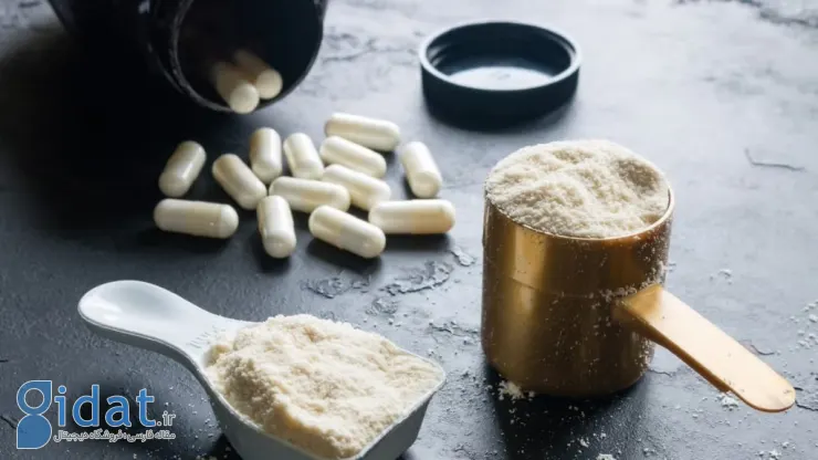 تأثیر کراتین بر مغز