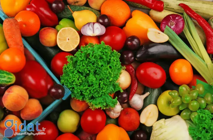 برای اولین بار، ارتباط بین میوه ها، سبزیجات و میکروبیوم در یک مطالعه جدید تایید شده است