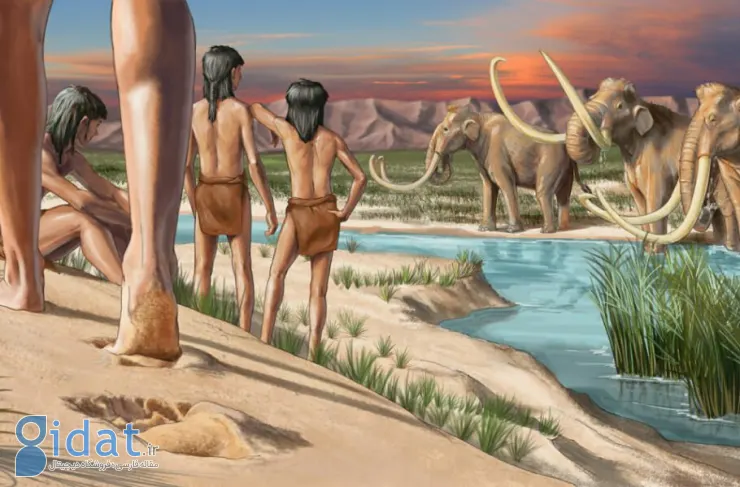 تحقیق جدید تأیید کرد: انسان‌ها 7 هزار سال زودتر از انتظارات ما به آمریکا رسیده بودند