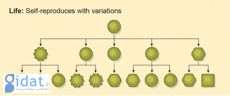 حیات بازتولید خود با تنوع