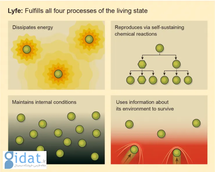 چهار فرایند حیات