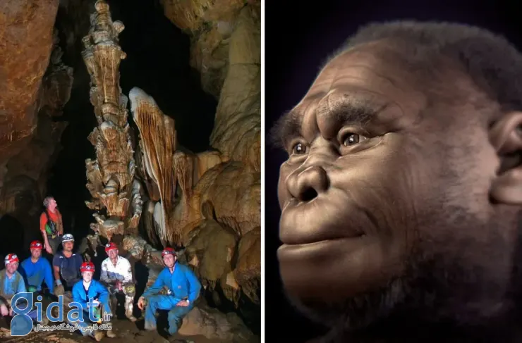 محققان: هابیت‌ها ۶۱۰۰۰ سال پیش به دلیل خشکسالی منقرض شدند