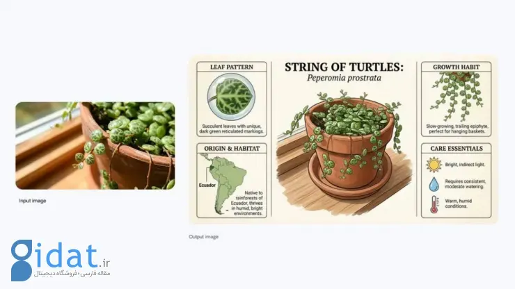 نمونه اینفوگرافیک ساخته شده با Nano Banana Pro درباره گیاهان