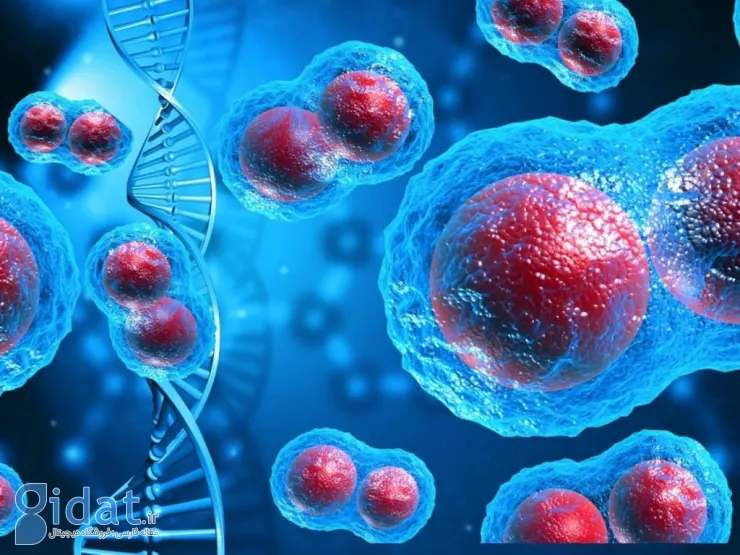 افزایش قدرت داروی سرطان قدیمی