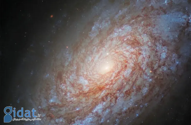 تصویر روز ناسا: کهکشان مارپیچی NGC 4414 با ظاهری کرکی