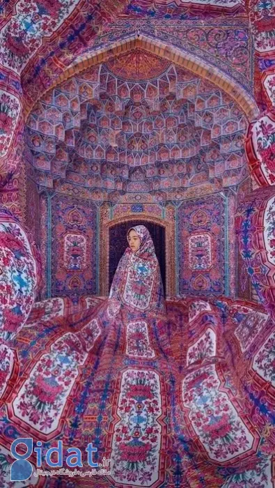 برندگان مسابقه عکاسی reFocus ۲۰۲۵