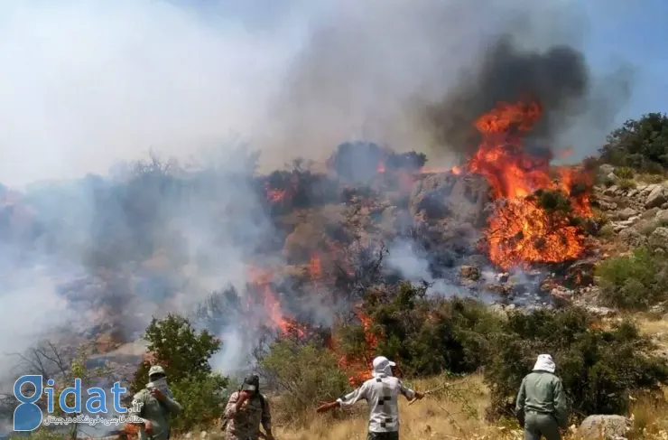 سه هفته مبارزه با خاکستر؛ آتش‌سوزی ارتفاعات الیت چگونه آغاز شد و چرا همچنان ادامه دارد؟