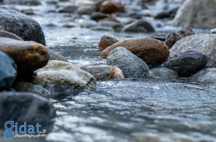 تأثیر نامرئی گرمایش جهانی: میکروب‌های مفید در رودخانه‌ها تحت فشار شدید هستند