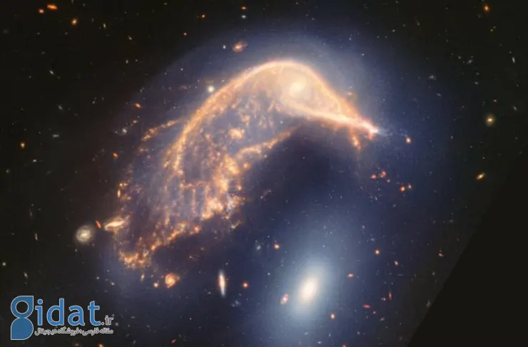 تصویر روز ناسا: Arp 142، کهکشان‌های متقابل از وب