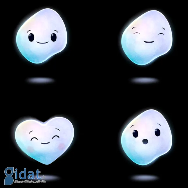 کوپایلت Appearance