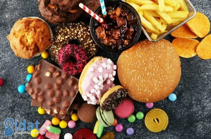 تحقیقات جدید: خوردن غذاهای چرب و شیرین می تواند توانایی شما در جهت یابی و به خاطر سپردن را مختل کند
