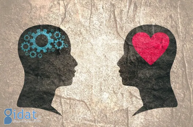دانشمندان برای اولین بار نشان دادند که عشق چگونه مغز را تغییر می دهد
