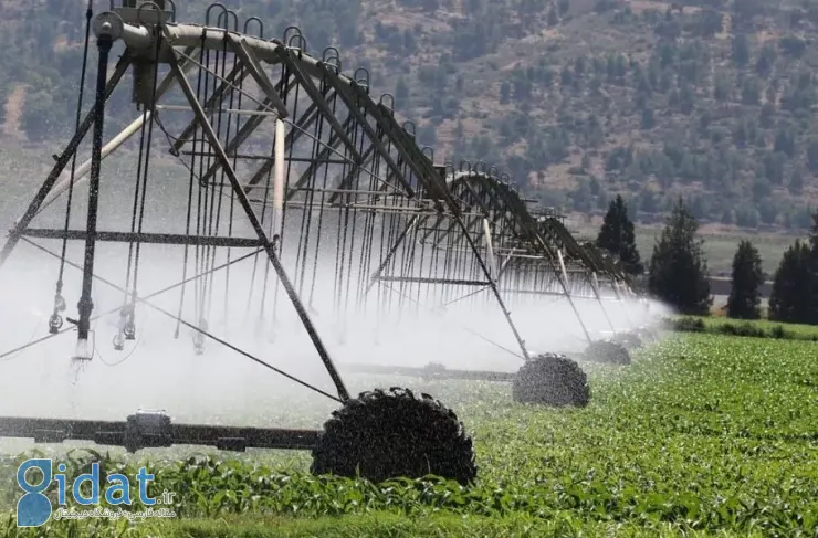 روش‌های آبیاری مدرن و رایج در جهان کدامند؟