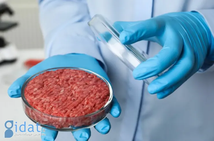 تحقیقات جدید ادعا می کند: گوشت آزمایشگاهی تا 25 برابر بیشتر از گوشت سنتی CO2 تولید می کند
