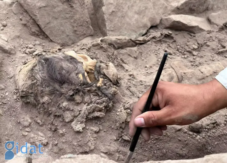 یک مومیایی 3000 ساله در پرو زیر حدود 7000 کیلوگرم زباله کشف شد