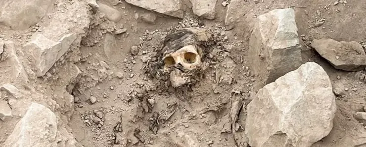 یک مومیایی 3000 ساله در پرو زیر حدود 7000 کیلوگرم زباله کشف شد